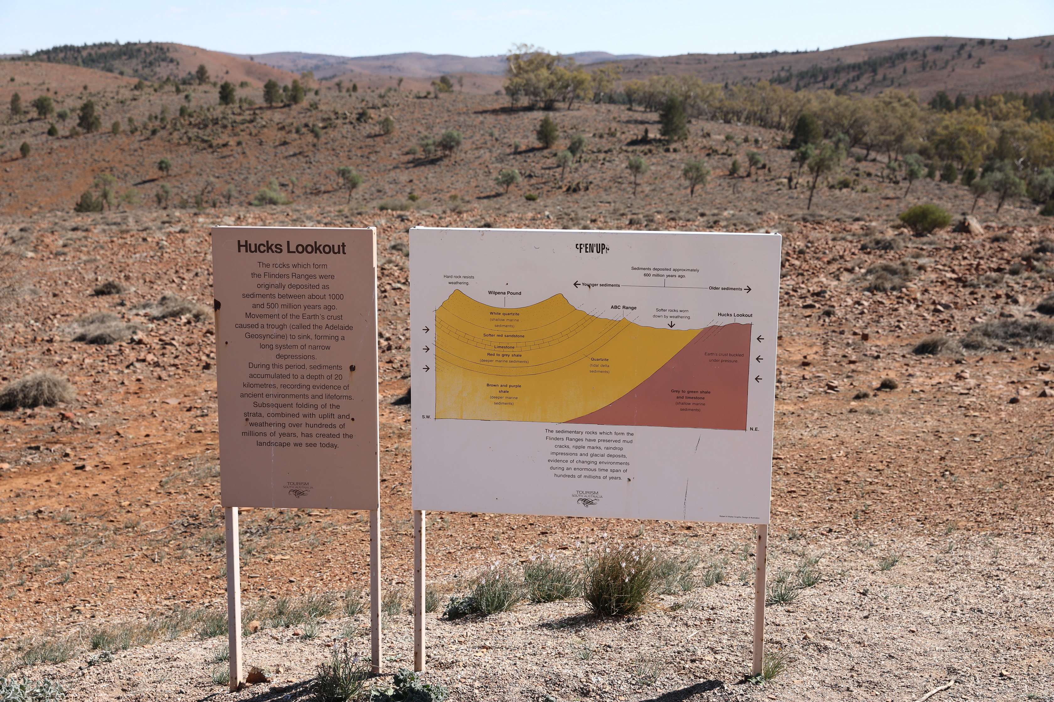 2019 09 01 10 16 42 Canon EOS 5D Mark IV 0002